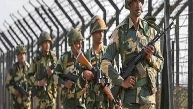 दो पाकिस्तानियों को BSF ने मार गिराया