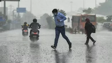 Monsoon Update: उत्तर से लेकर दक्षिण तक मानसून सक्रिय, IMD ने इन राज्यों में जारी किया अलर्ट