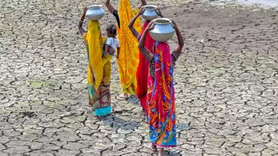 Rain Deficit: कहीं 'जल प्रलय' तो कहीं बारिश को तरस रहे राज्य, कर्नाटक में सूख रहा बांधों का पानी