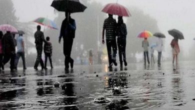 Monsoon Update: मध्यप्रदेश-राजस्थान समेत इन राज्यों में जमकर बरसेंगे बादल, IMD ने जारी किया अलर्ट