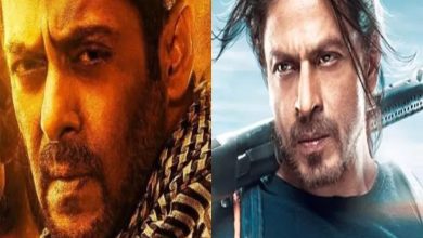 Tiger 3: फिर एक साथ होंगे करन-अर्जुन, 'टाइगर-3' का ये होगा हाइलाइट सीन, जानें कितने मिनट का होगा शाहरूख का कैमियो