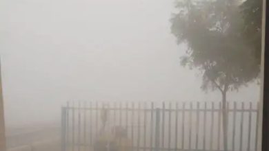 Rajasthan Weather: राजस्थान में बदला मौसम, बीकानेर-गंगानगर में हुई बारिश, जानें कब से पड़ेगी तेज ठंड