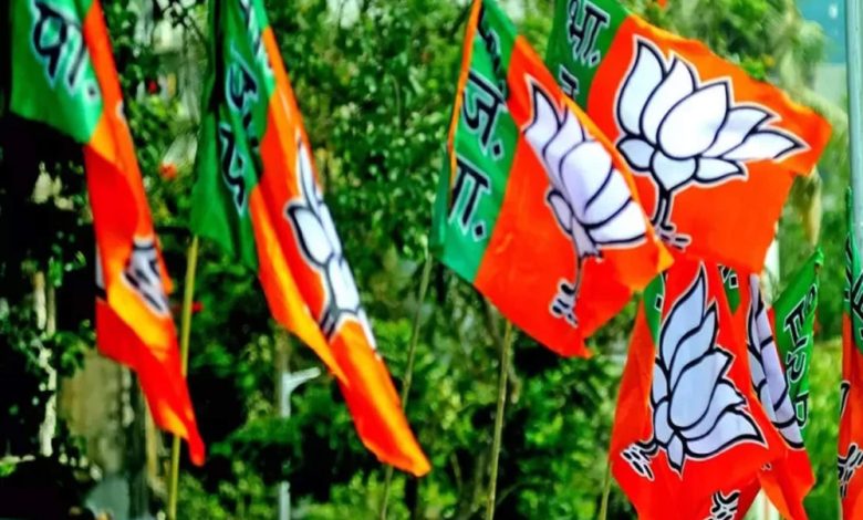 Rajasthan Election Result 2023: मेवाड़ का ऐसा जिला जहां सभी सीटें पर BJP ने लहराया जीत का परचम, ये नेता थे मैदान में