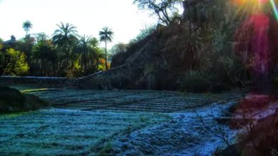 Rajasthan Weather Update: माउंट आबू में पारा 0 डिग्री, वादियों में जमी बर्फ, गंगानगर-बीकानेर के सरहदी इलाकों पर छाया घना कोहरा