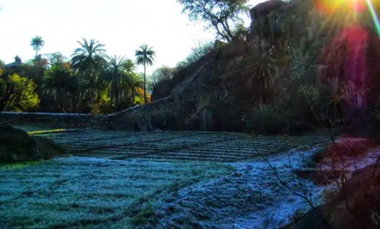 Rajasthan Weather Update: माउंट आबू में पारा 0 डिग्री, वादियों में जमी बर्फ, गंगानगर-बीकानेर के सरहदी इलाकों पर छाया घना कोहरा