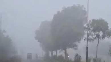 Rajasthan Weather Update: माउंट आबू लगातार चौथे दिन पारा शून्य पर, गंगानगर, हनुमानगढ़ में छाए बादल, जानें कब से बढ़ेगी सर्दी