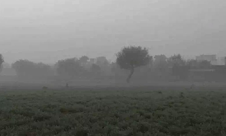 Rajasthan Weather Update: राजस्थान में वेस्टर्न डिस्टरबेंस का असर कमजोर होते ही गिरा रात का तापमान, जानें कैसा रहेगा आज का मौसम