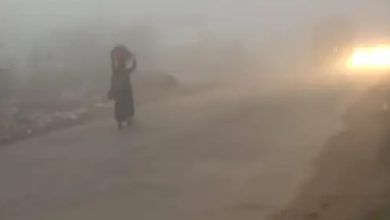 Rajasthan Weather Update: माउंट आबू में लोगों को मिली ठंड से राहत, प्रदेश के इन जिलों में 16 से कोल्ड वेव चलने की संभवना