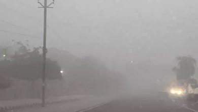 Rajasthan Weather Update: राजस्थान में सर्दी का कहर, जयपुर में सीजन का सबसे ठंडा दिन रहा, जानें अन्य जिलों का हाल