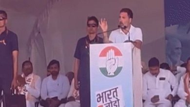 राजस्थान में Rahul Gandhi का बयान- 30 लाख युवाओं को नौकरी देंगे, सरकार आने पर ग्रेजुएट को हर साल एक लाख मिलेंगे