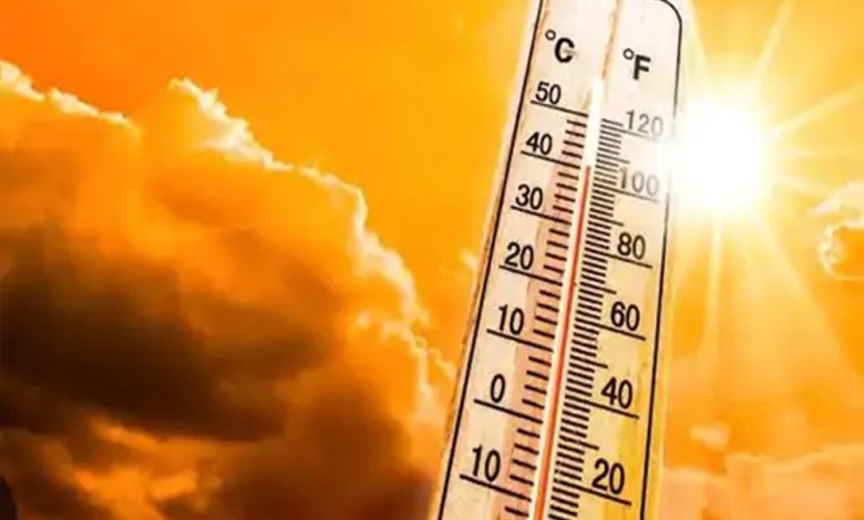 HeatWave को लेकर गृह मंत्रालय ने जारी की एडवाइजरी, लू-ताप से बचाव की सलाह, बताए कई उपाय