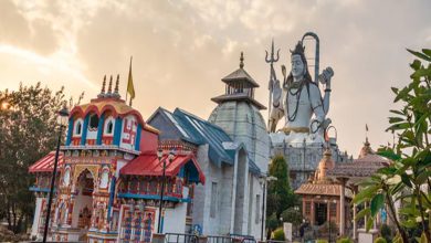 Char Dham Yatra: बिना रजिस्ट्रेशन चार धाम की यात्रा करने वालों पर उत्तराखंड सरकार ले रही एक्शन, बैरियर से ही भेज रही वापस