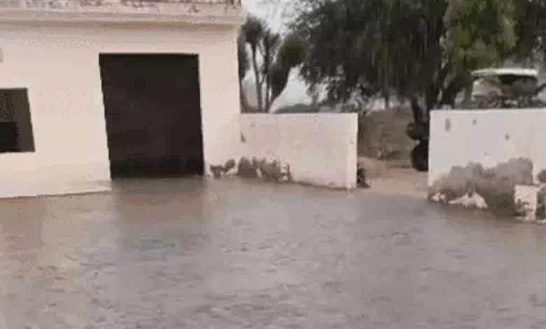 Rajasthan Weather Update: प्रदेश के 10 जिलों में हीटवेव का अलर्ट, नए वेस्टर्न डिस्टर्बेंस का इन जिलों पर होगा असर