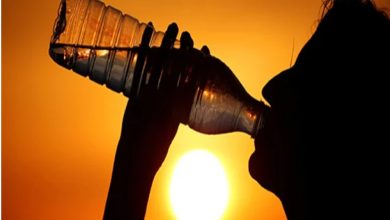 Heat Stroke In Rajasthan: प्रदेश में हीटवेव के कारण 12 लोगों की मौत की पुष्टि, मंत्री किरोड़ीलाल ने की राहत पैकेज की घोषणा