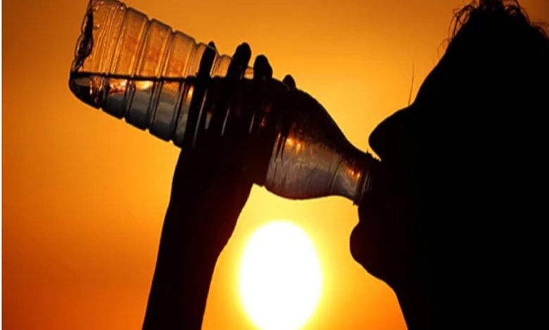 Heat Stroke In Rajasthan: प्रदेश में हीटवेव के कारण 12 लोगों की मौत की पुष्टि, मंत्री किरोड़ीलाल ने की राहत पैकेज की घोषणा