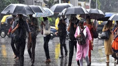 Monsoon 2024 Update: गर्मी से मिली राहत, मानसून केरल में प्रवेश कर झमाझम बरसा रहा पानी, जानें आपके राज्य में कब बरसेंगे बदरा?