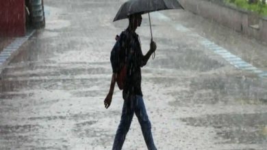 Rajasthan Weather Update: प्रदेश में फिर बदला मौसम का मिजाज, IMD ने जारी किया इन 13 जिलों के लिए भारी बारिश का येलो अलर्ट