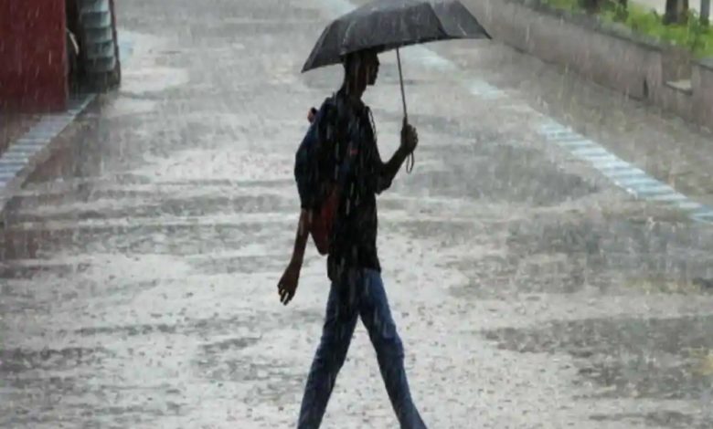 Rajasthan Weather Update: प्रदेश में फिर बदला मौसम का मिजाज, IMD ने जारी किया इन 13 जिलों के लिए भारी बारिश का येलो अलर्ट